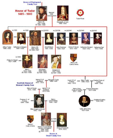 tudor kings and queens|are there any tudor descendants living today.